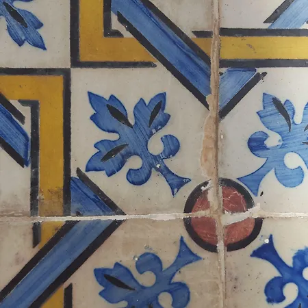 フェニシウス シャルメ 3*