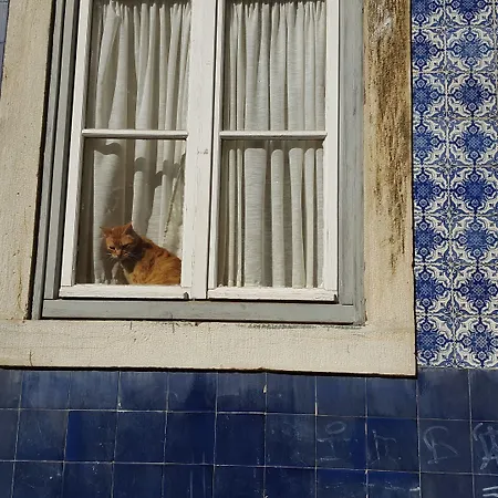 Hotel Fenicius Charme Lisboa